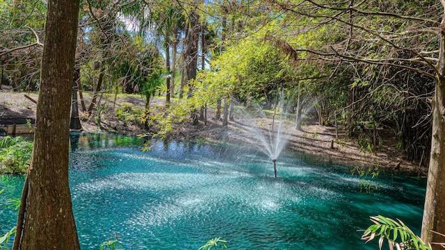 view of water feature