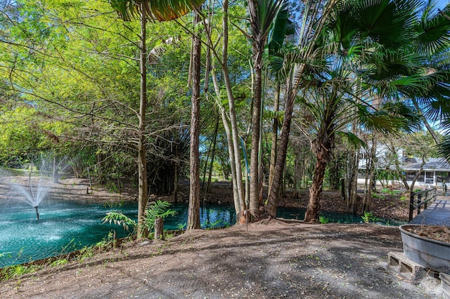 view of yard with a water view