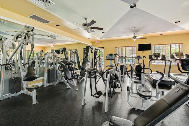 exercise room featuring a raised ceiling and ceiling fan