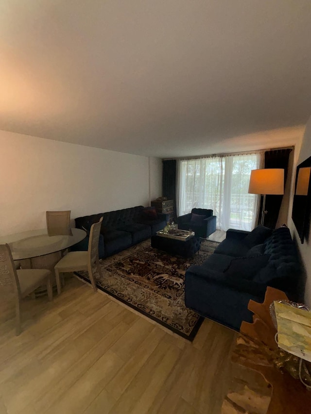 living room with hardwood / wood-style floors