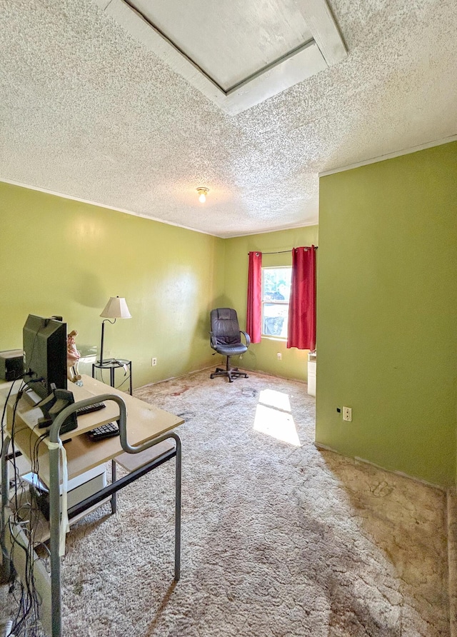 interior space with carpet floors and a textured ceiling