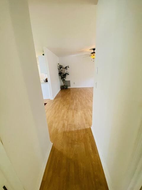 hall featuring wood-type flooring