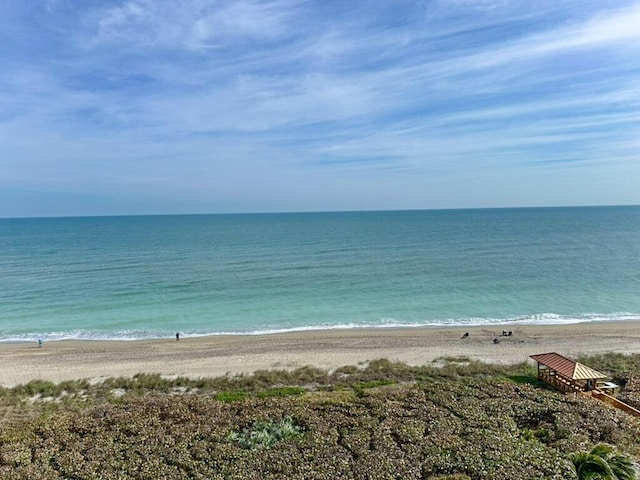 water view featuring a beach view