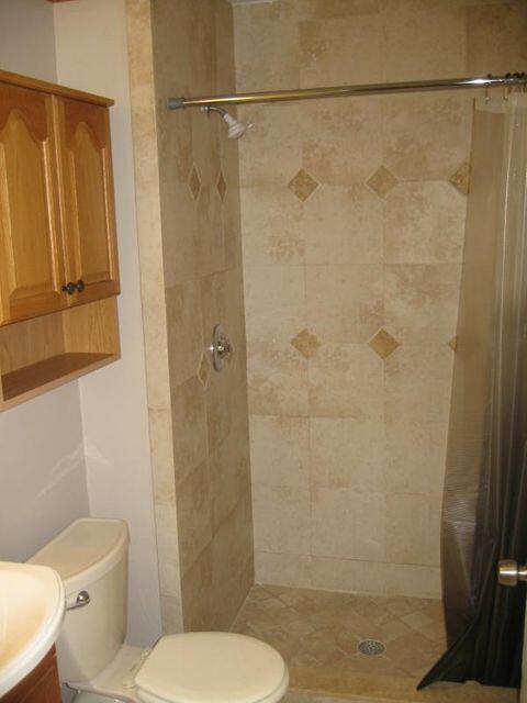 bathroom with a shower with curtain, vanity, and toilet