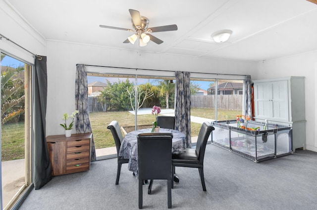 dining room featuring ceiling fan and carpet