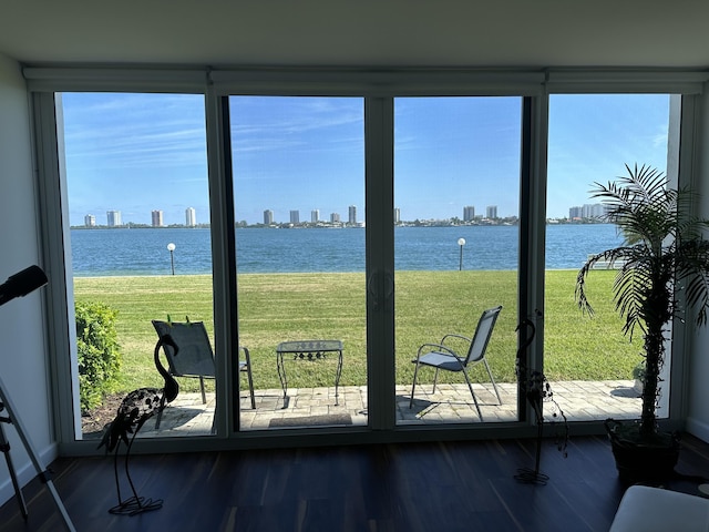 doorway with a water view and hardwood / wood-style flooring