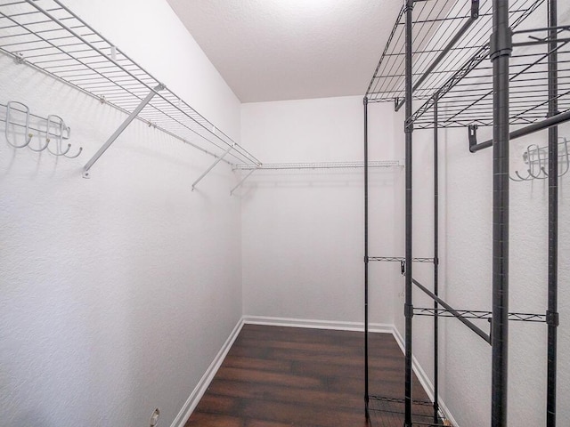 walk in closet featuring dark hardwood / wood-style flooring