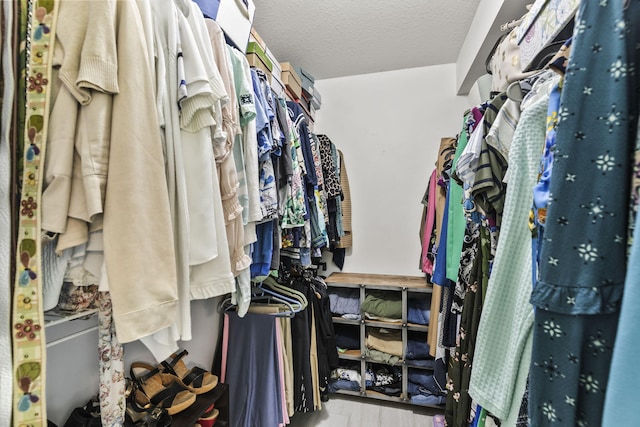 spacious closet with hardwood / wood-style floors