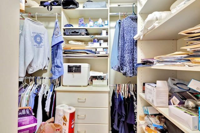 view of walk in closet