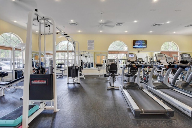 exercise room featuring ceiling fan and plenty of natural light