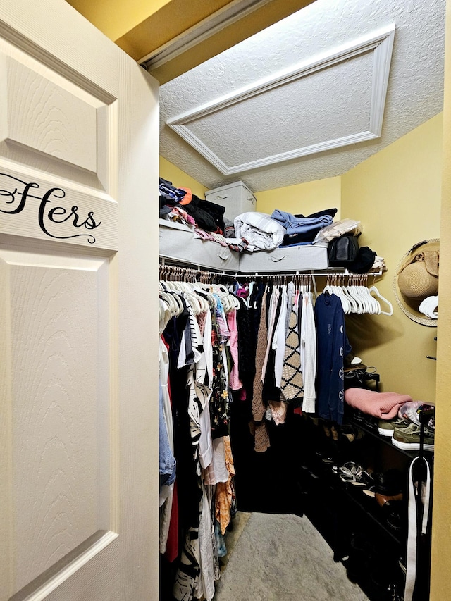 view of spacious closet