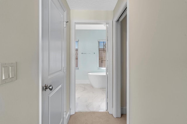 hall with light colored carpet and a textured ceiling