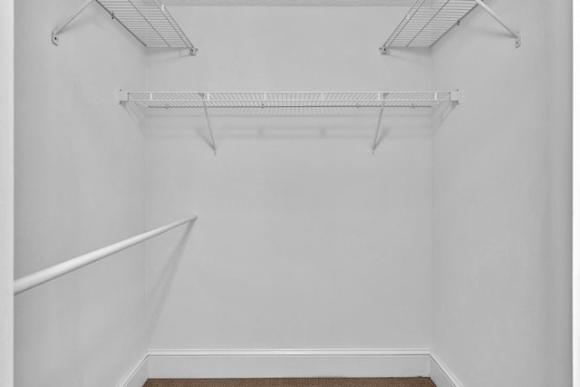 spacious closet featuring carpet