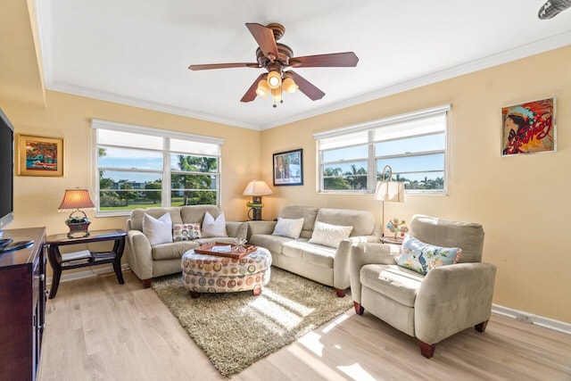 living room featuring ceiling fan, ornamental molding, and light wood-type flooring