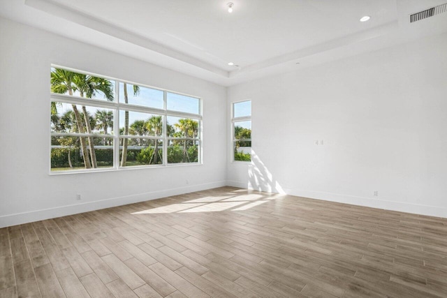 unfurnished room with a raised ceiling and light wood-type flooring