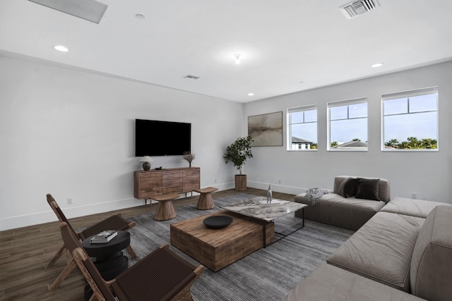 living room featuring wood-type flooring