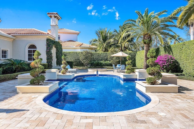 view of swimming pool featuring a patio