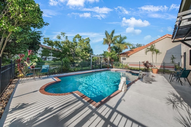 view of pool featuring a patio