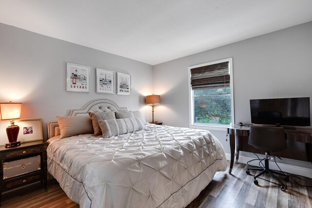 bedroom with hardwood / wood-style floors and a closet