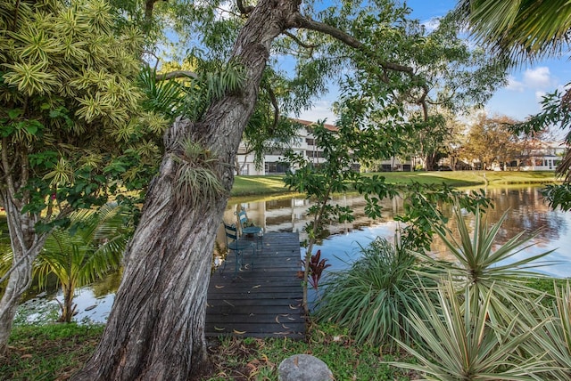 view of water feature