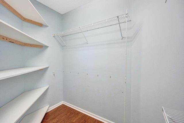 spacious closet featuring hardwood / wood-style floors