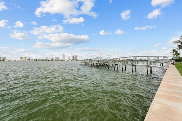 dock area with a water view