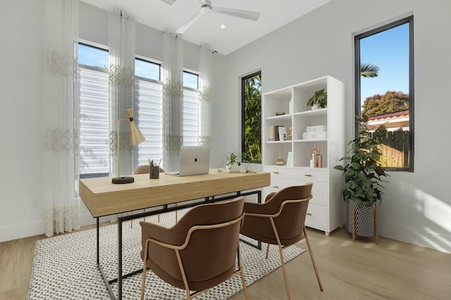 office featuring light hardwood / wood-style floors and ceiling fan