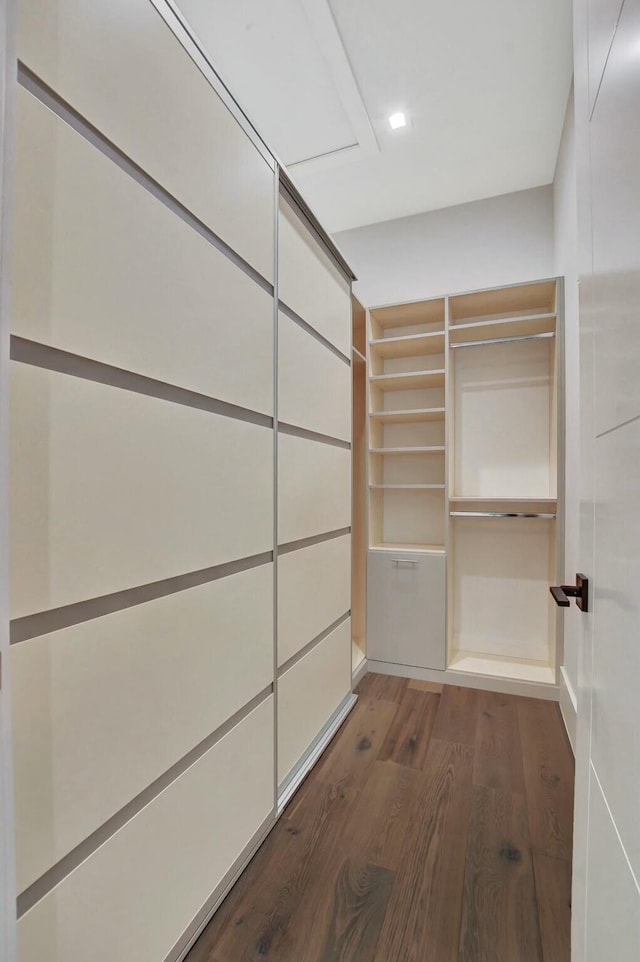 spacious closet featuring hardwood / wood-style floors