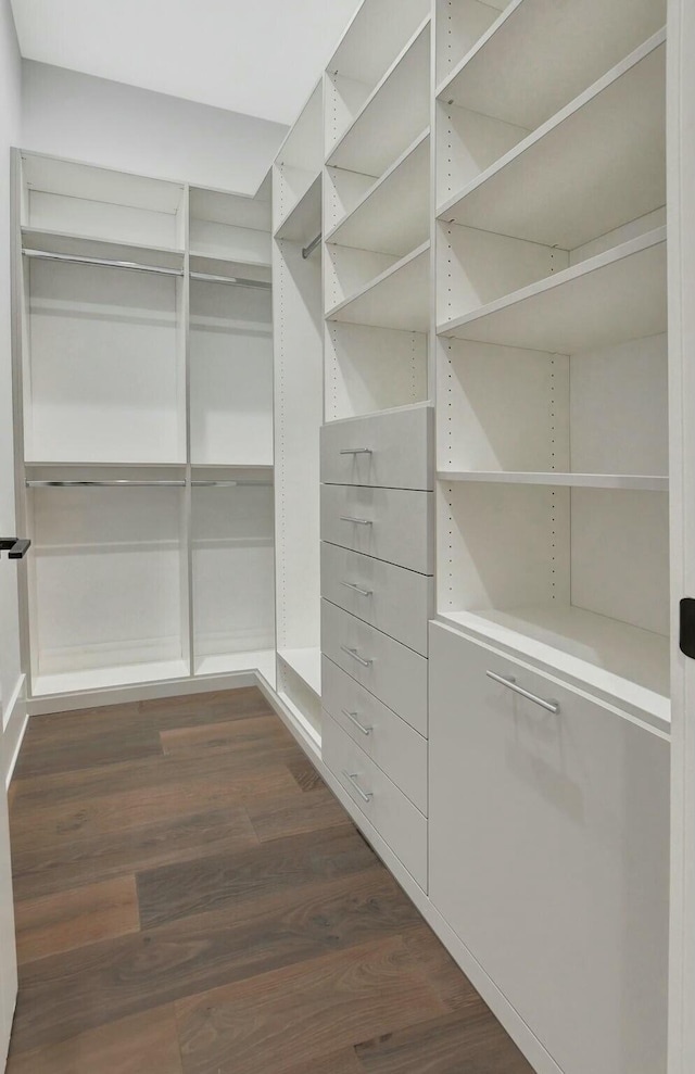 spacious closet featuring dark hardwood / wood-style flooring