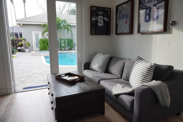 living room with wood-type flooring