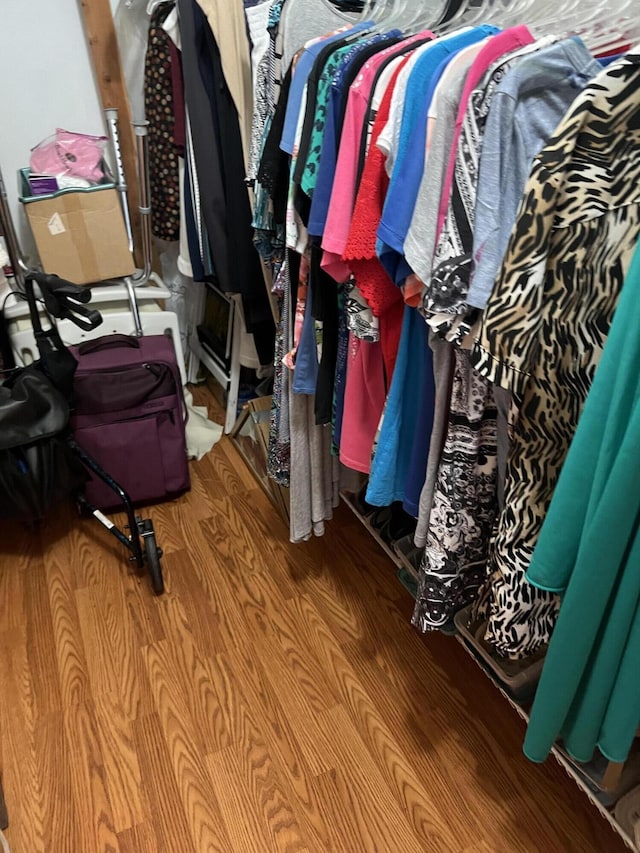 spacious closet featuring light hardwood / wood-style floors