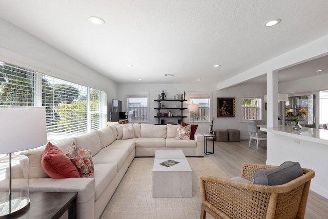 living room featuring light hardwood / wood-style floors