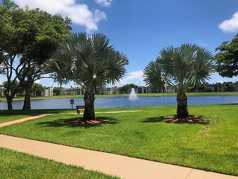 surrounding community featuring a water view and a lawn