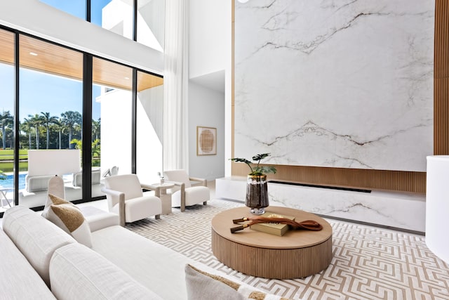 living room featuring a high ceiling