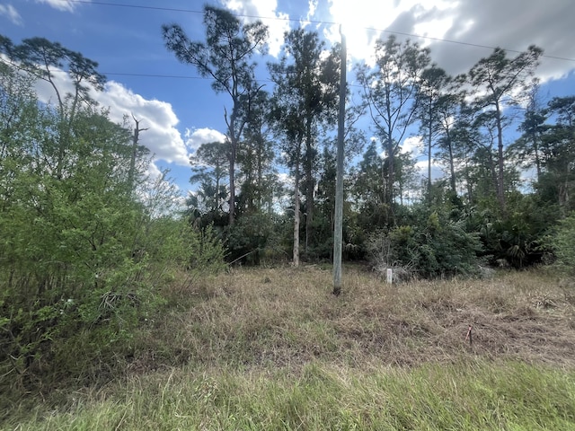 8551 Buckingham Rd, Fort Myers FL, 33905 land for sale