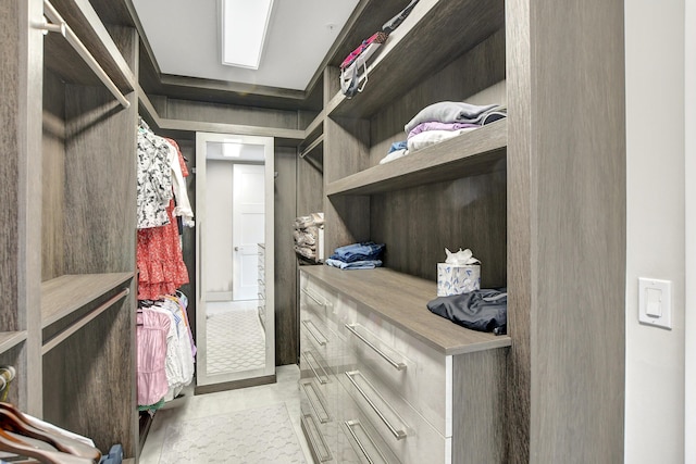 view of spacious closet