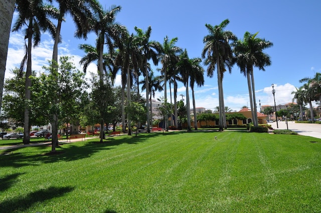 view of home's community featuring a lawn