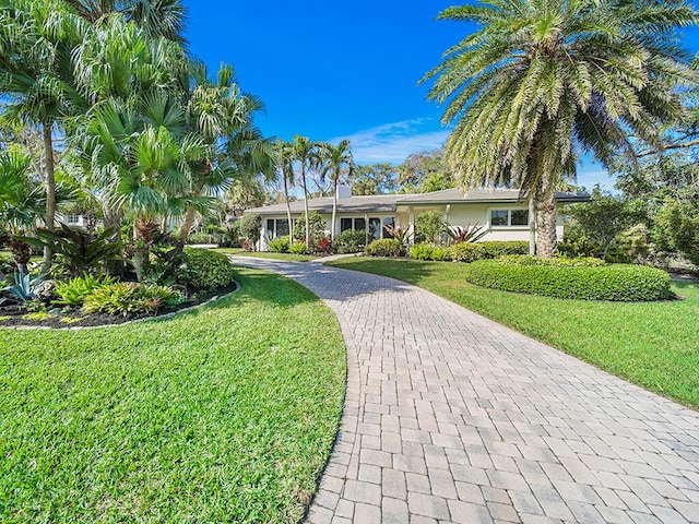 ranch-style house featuring a front yard