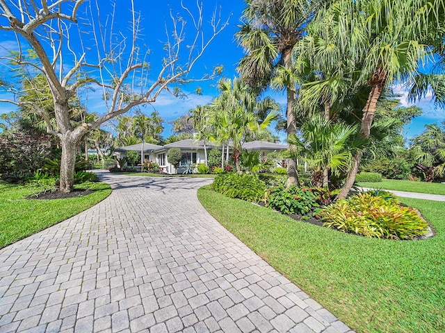 single story home featuring a front yard