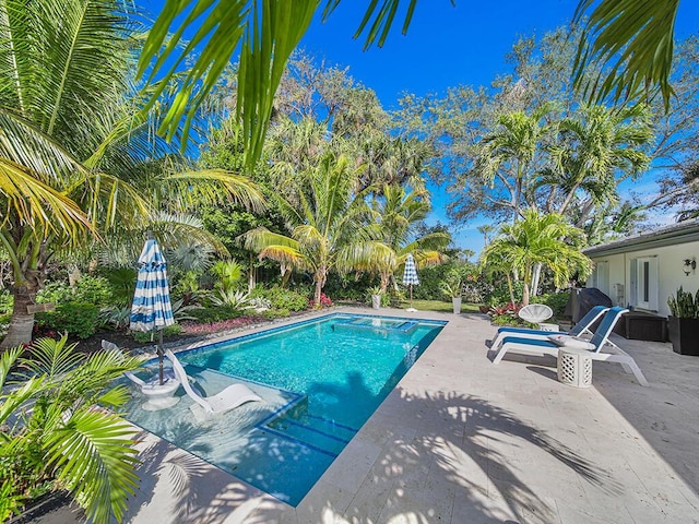 view of pool featuring a patio