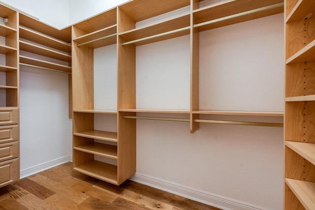 spacious closet featuring hardwood / wood-style flooring