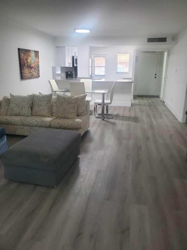 living room featuring hardwood / wood-style flooring