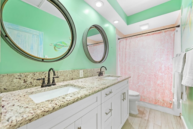 bathroom with hardwood / wood-style flooring, vanity, and toilet