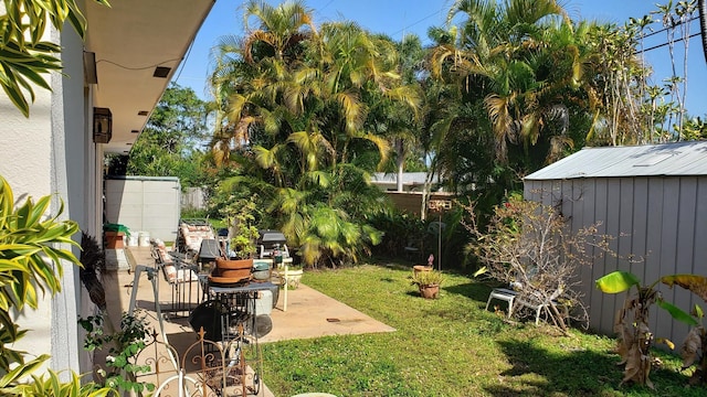 view of yard with a patio and a storage unit