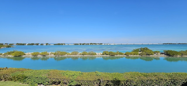 property view of water