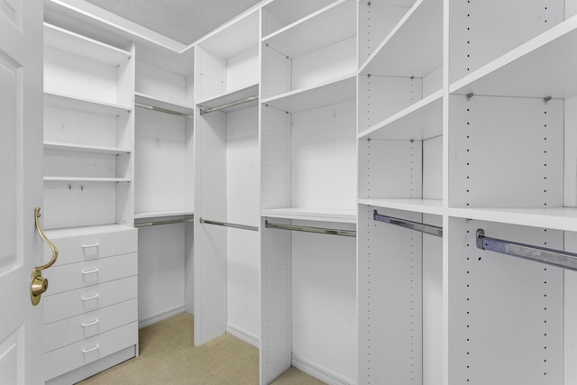1660 S A1A Unit 222, Jupiter, FL 33477 - spacious closet with light carpet