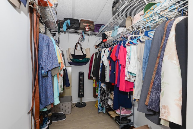 spacious closet featuring hardwood / wood-style flooring