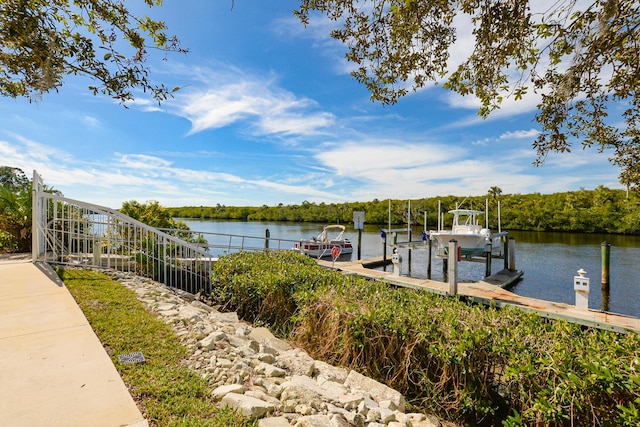 dock area with a water view