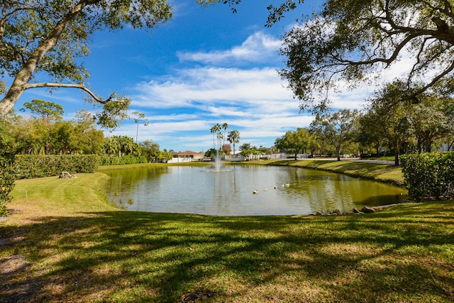 water view