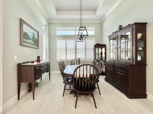 dining room featuring a tray ceiling and light hardwood / wood-style floors